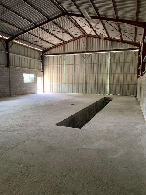 Local d'activité / Entrepôt - 300 m²