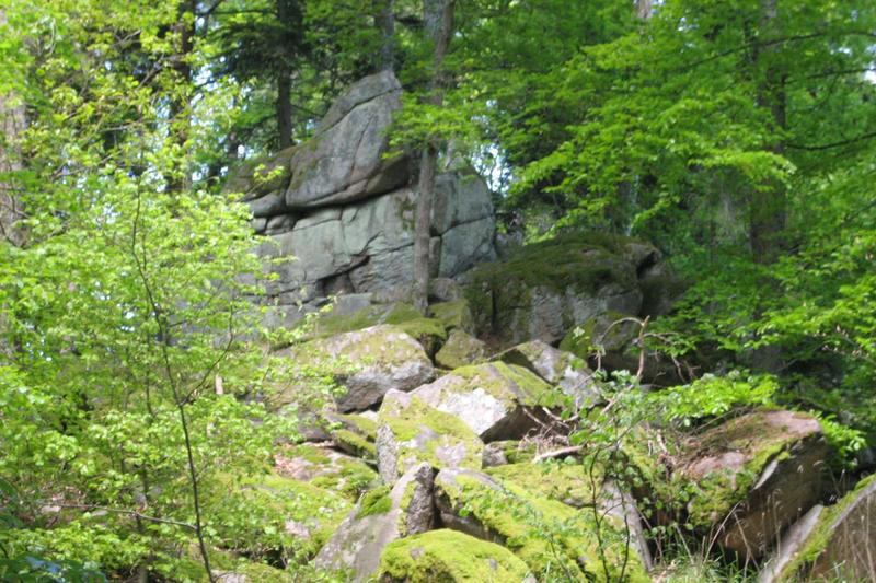 Club Vosgien : Marche douce au Hohlandsbourg