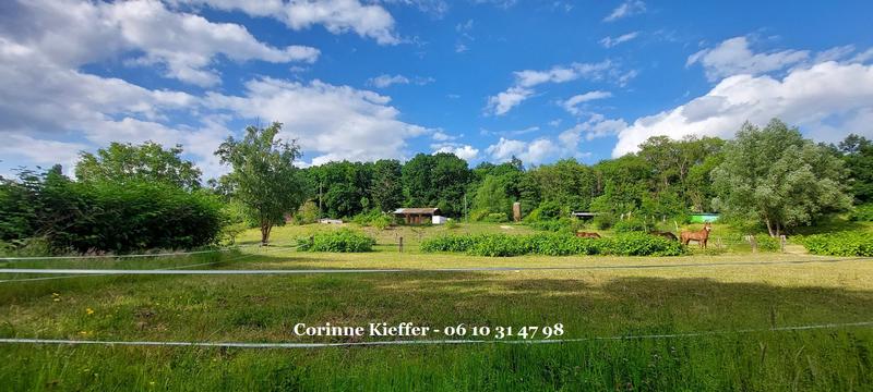 Haras - 300 m² - 4 pièces