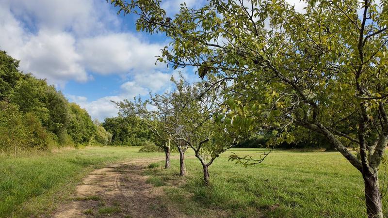 Moulin - 300 m² - 6 pièces
