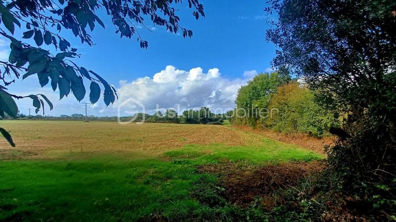 Corps de ferme - 170 m² - 7 pièces