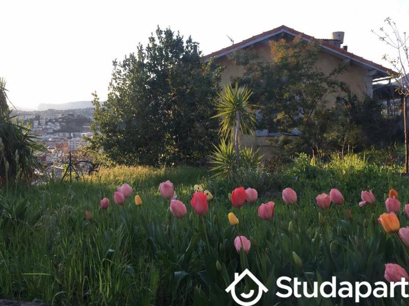 Appartement - 49 m² - 1 pièce