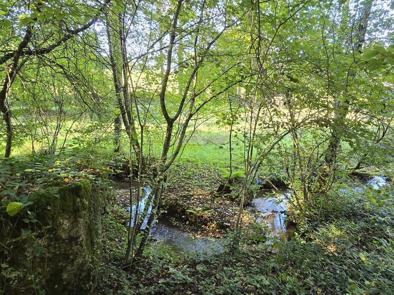 Maison - 24 m² - 1 pièce