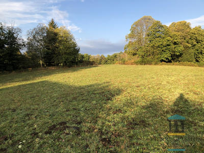 Terrain agricole - 2 749 m²
