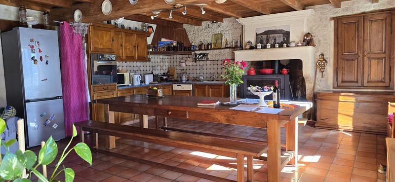 Viager - Maison ancienne - 248 m² - 11 pièces