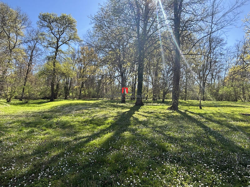 Maison ancienne - 180 m² - 6 pièces