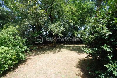 Forêt - 800 m²
