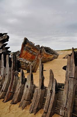 Guy Griffoul Auteur Photographe