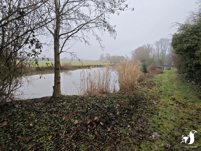 Terrain de loisirs - 13 291 m²