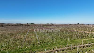 Fonds de commerce - 1 143 m²