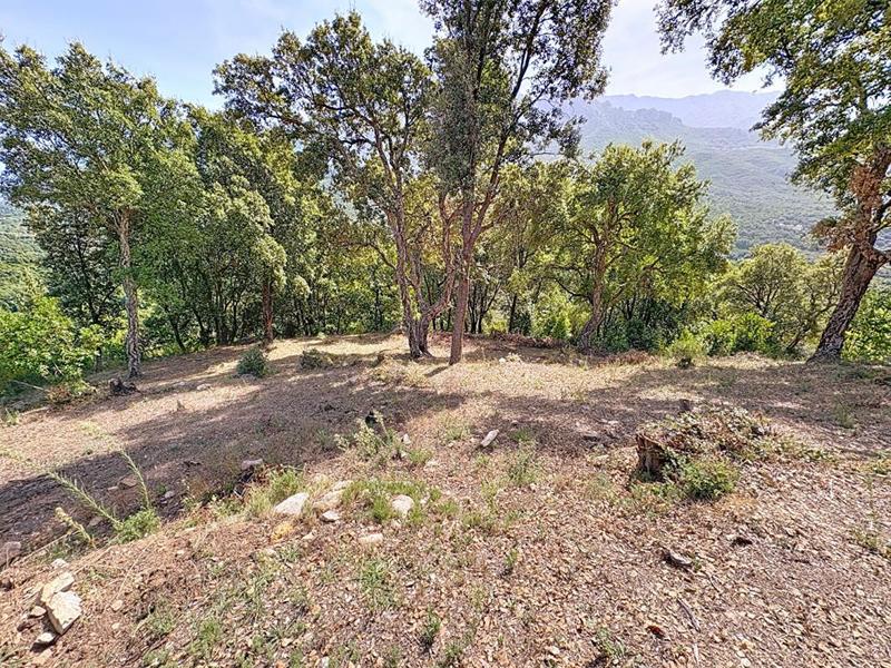 Terrain - 1 068 m²