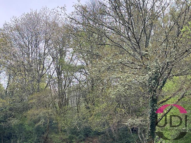 Terrain - 31 689 m²