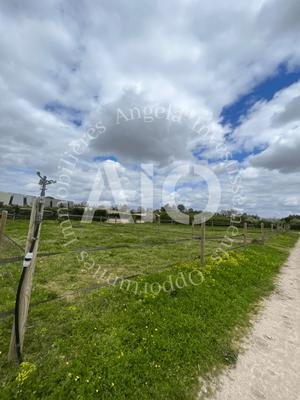 Terrain de loisirs - 30 000 m²