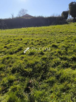 Terrain constructible - 1 400 m²