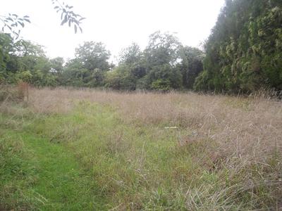 Terrain constructible - 2 800 m²