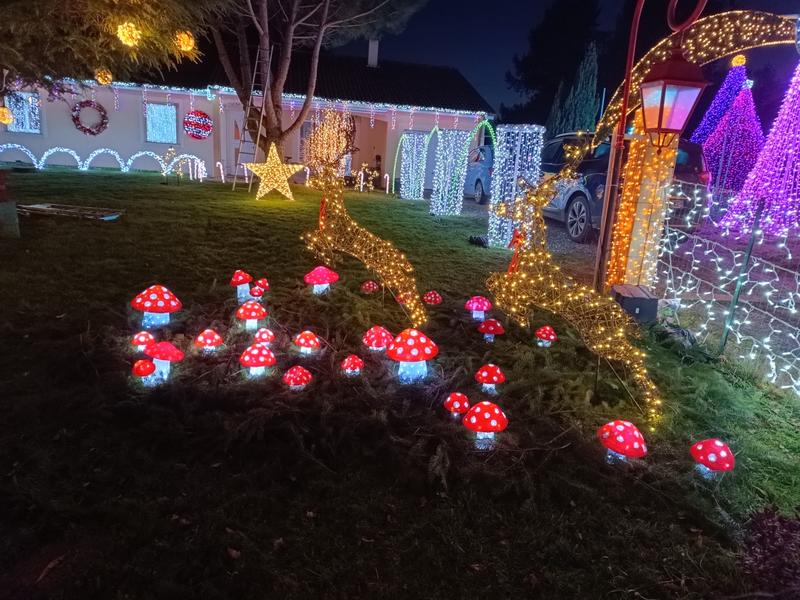 Féérie de Noël à la Meyze : maison illuminée