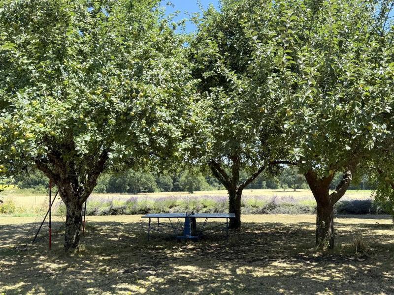 Maison - 161 m² - 6 pièces