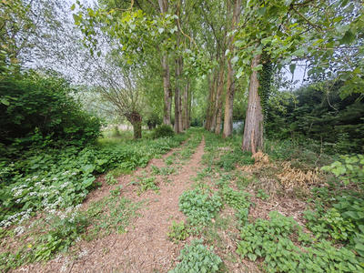 Terrain - 18 958 m²