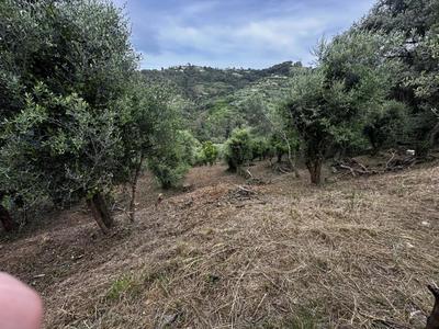 Terrain - 2 450 m²