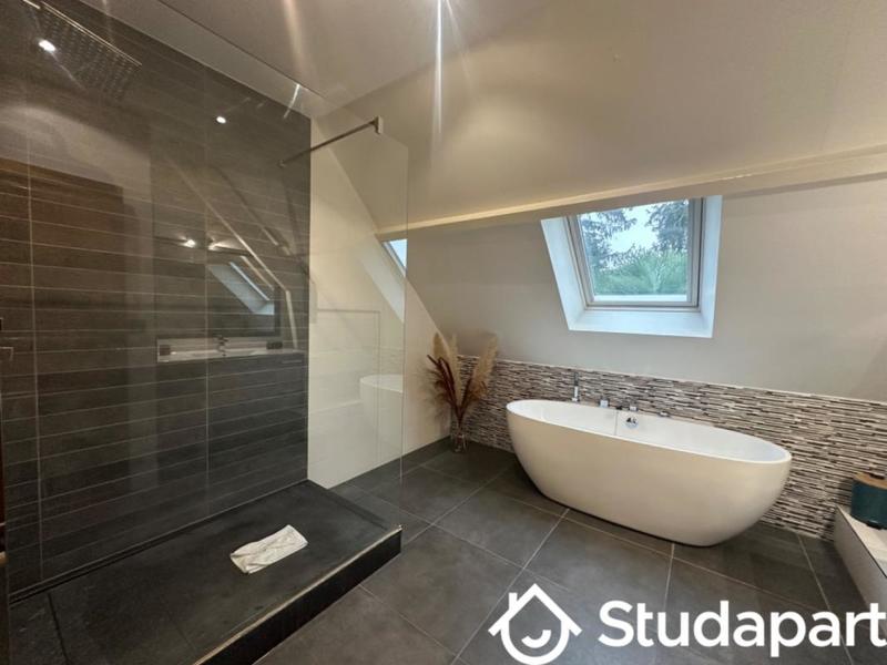 Chambre - 50 m² - 1 pièce