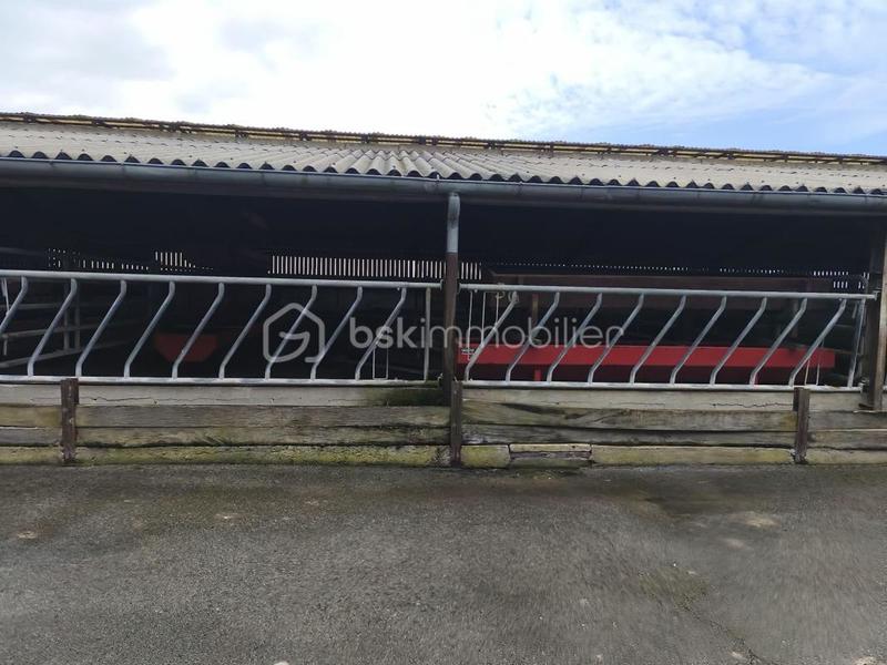 Corps de ferme - 90 m² - 1 pièce