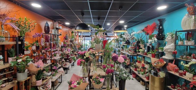 Fonds de commerce - Magasins - 185 m²