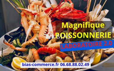 Fonds de commerce - 250 m²