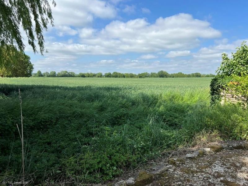 Maison en pierre - 147 m² - 5 pièces