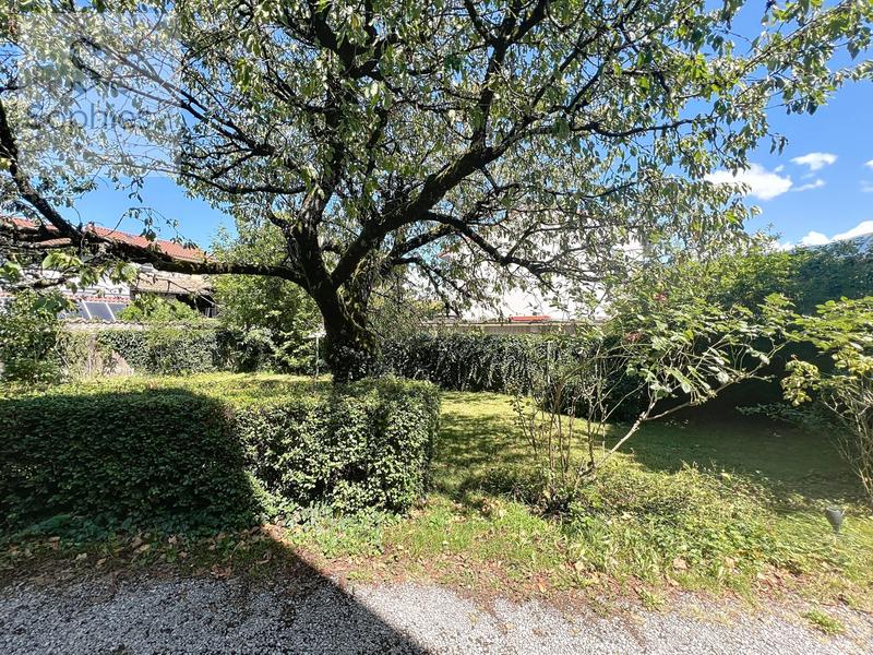 Maison - 226 m² - 9 pièces