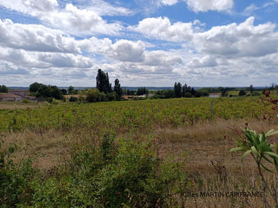 Maison - 185 m² - 5 pièces