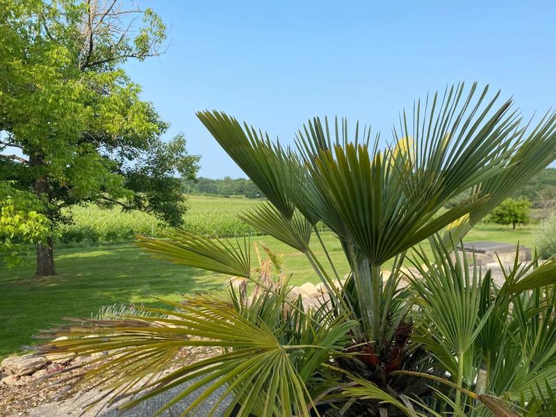 Maison en pierre - 350 m² - 8 pièces