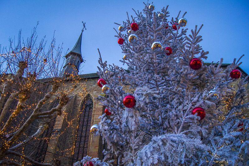 Cook show du marché gourmand