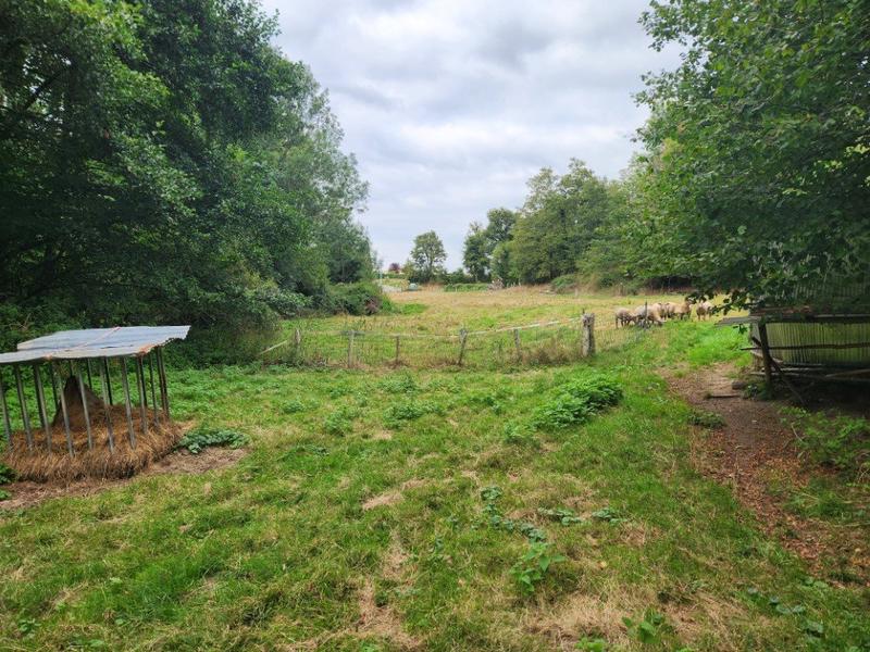 Maison - 150 m² - 4 pièces