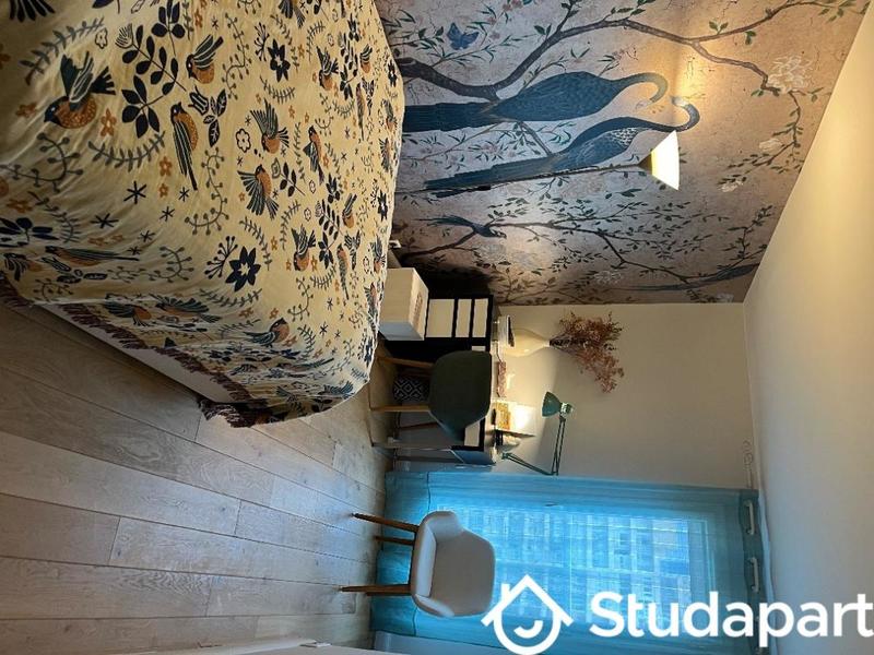 Chambre - 38 m² - 1 pièce