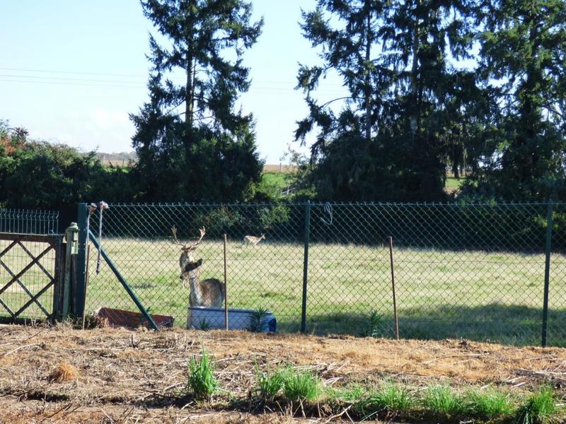 Maison - 330 m² - 8 pièces