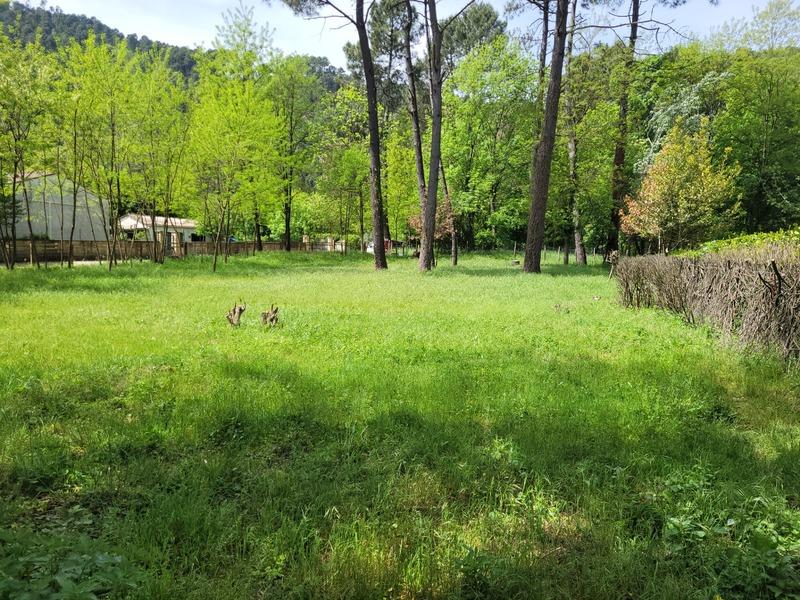 Terrain constructible - 3 500 m²