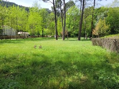 Terrain constructible - 3 500 m²