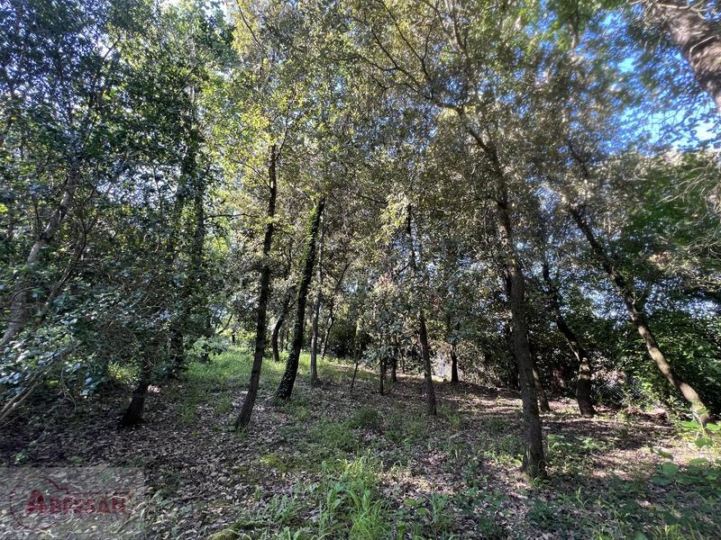 Maison - 156 m² - 5 pièces