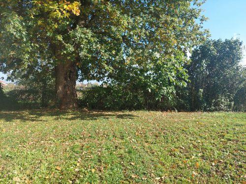 Pavillon - 81 m² - 3 pièces