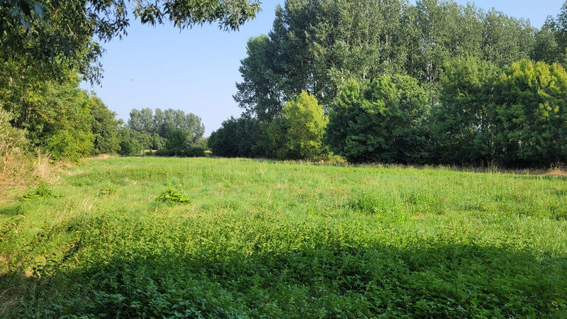 Maison - 200 m² - 7 pièces