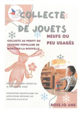 Collecte de jouets - Secours Populaire Français