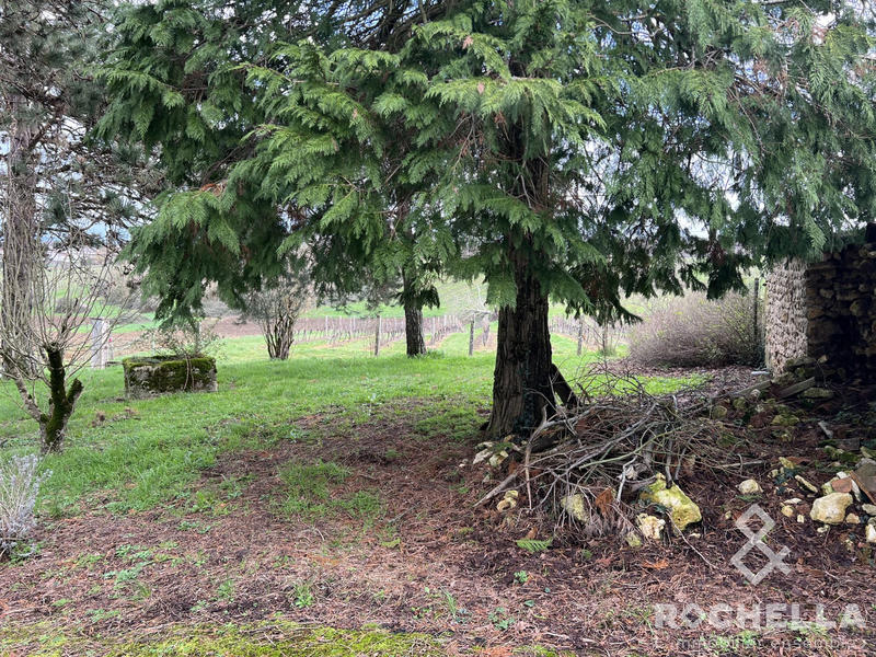 Maison ancienne - 212 m² - 9 pièces