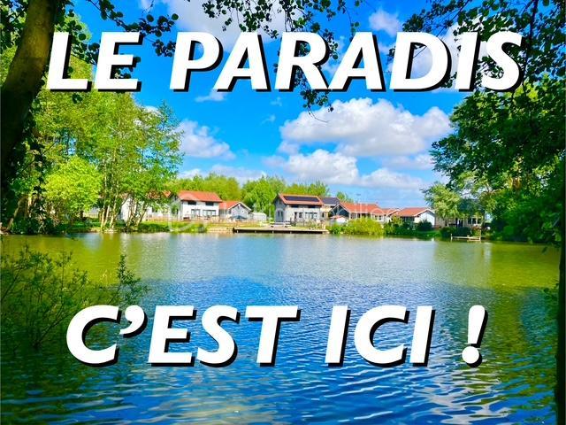 Maison - 79 m² - 3 pièces