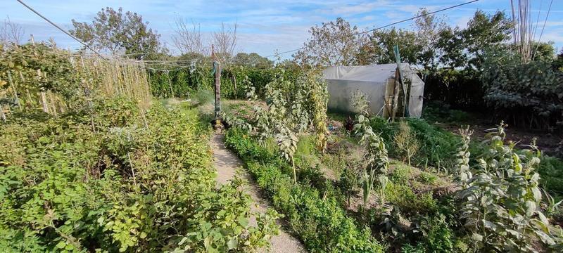 Maison - 96 m² - 5 pièces