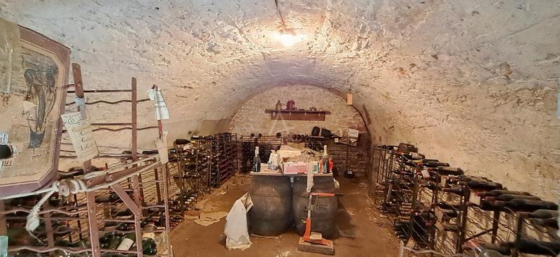 Maison - 225 m² - 9 pièces