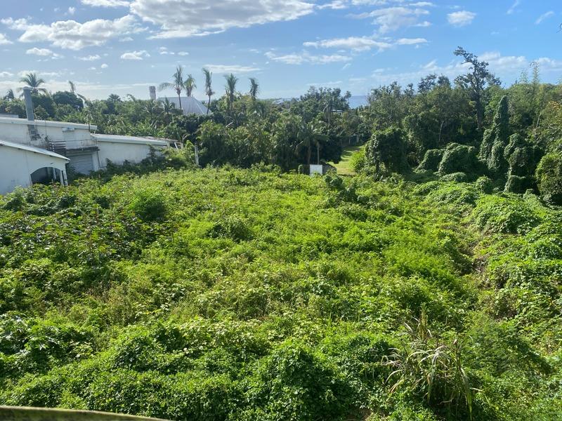 Terrain constructible - 1 600 m²