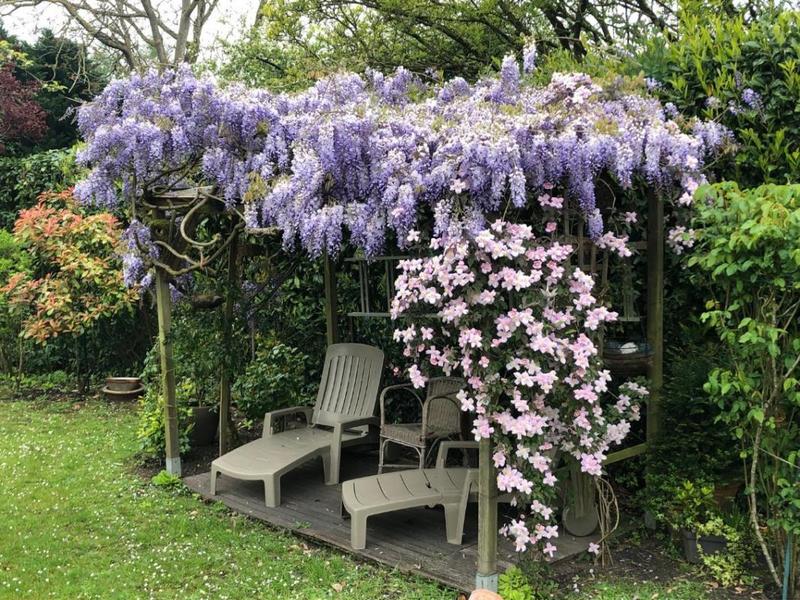 Maison - 115 m² - 4 pièces