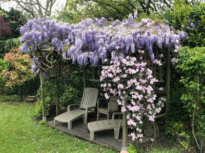 Maison - 115 m² - 4 pièces