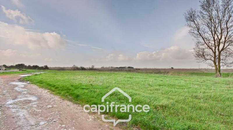 Hangar - 592 m² - 5 pièces