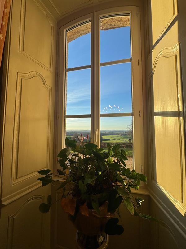 Maison de ville - 543 m² - 12 pièces